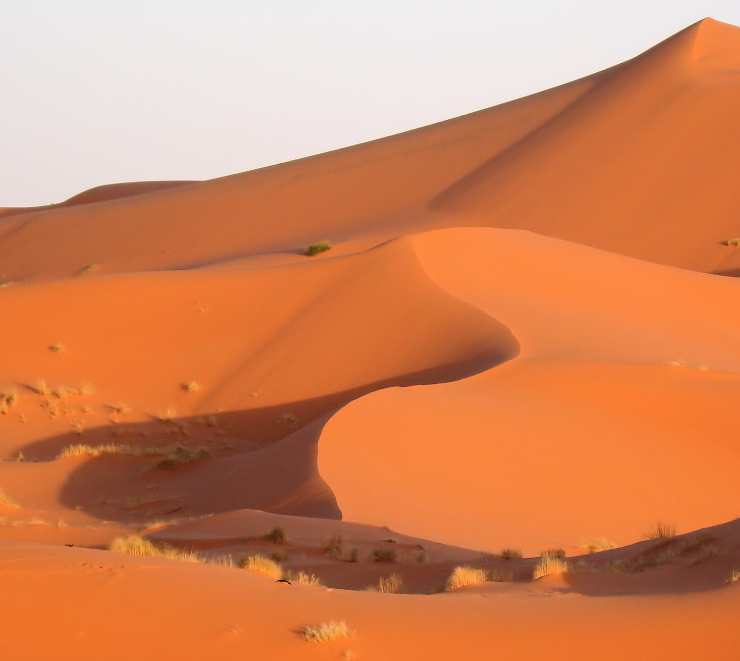 Erg Chebbi Dunes