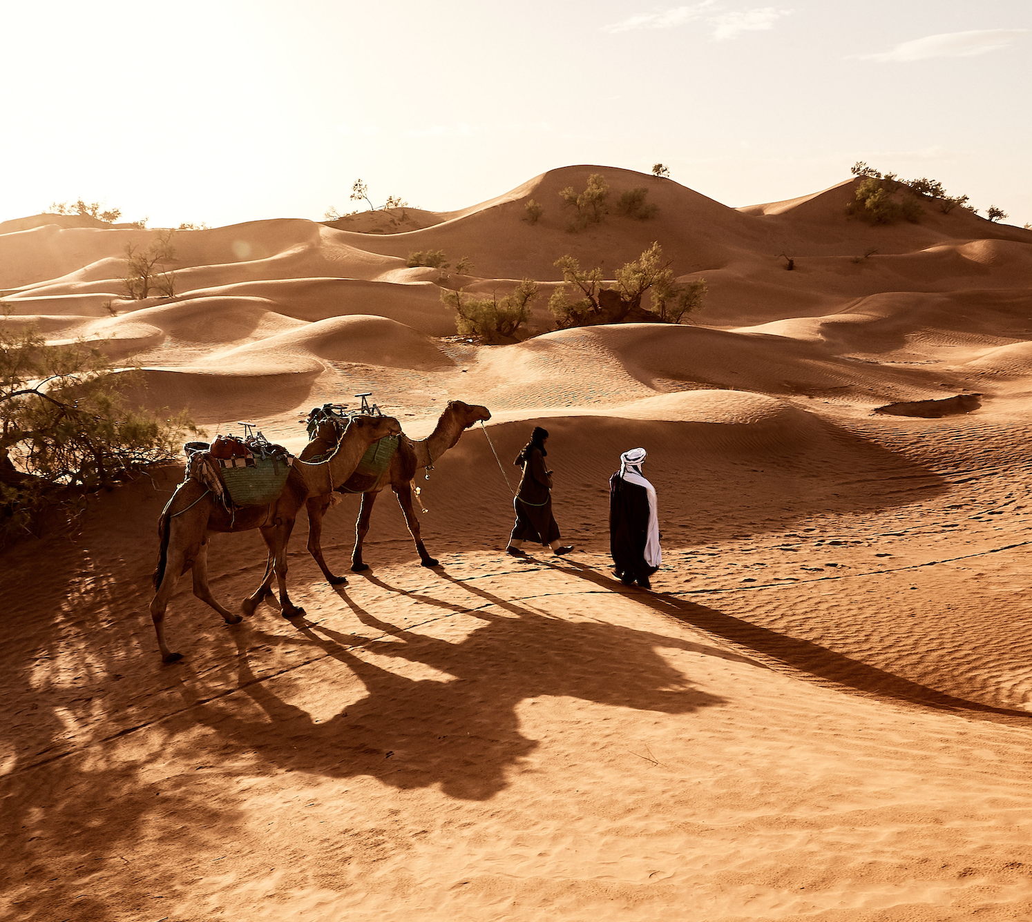 desert adventure