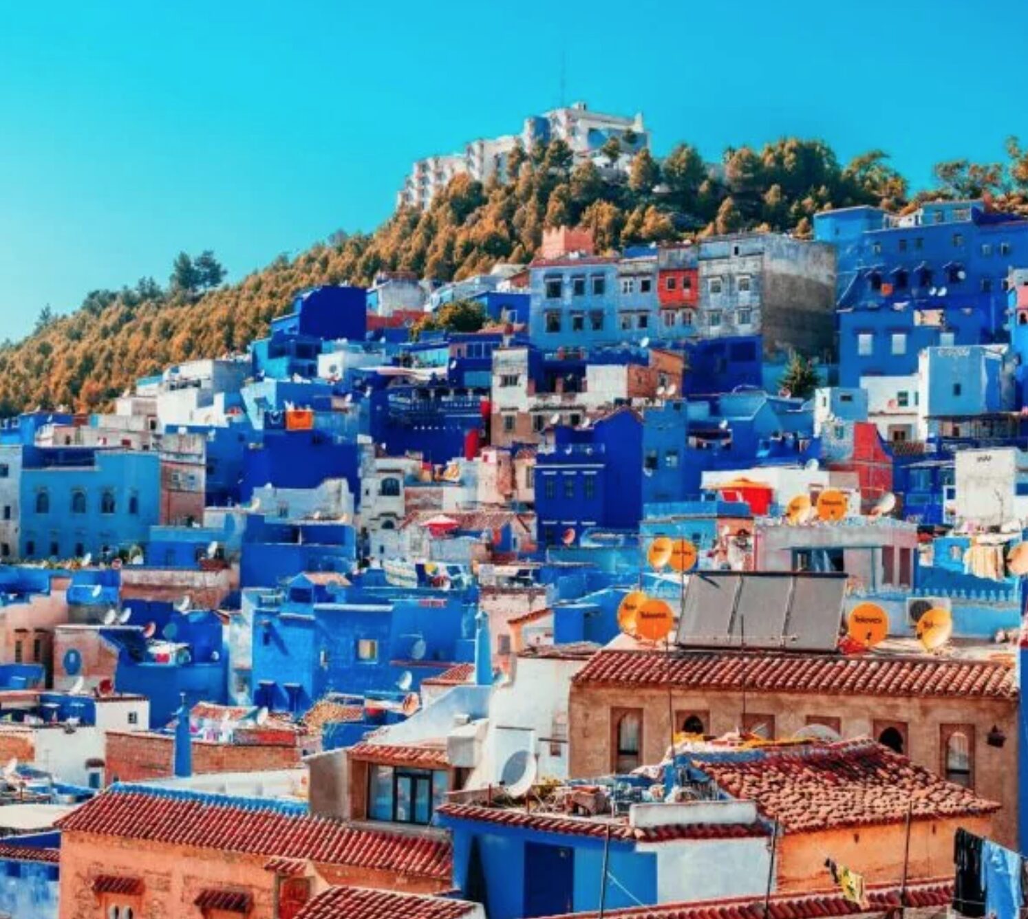 Day Trips to Chefchaouen