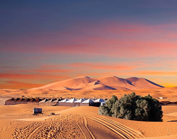 Where to Go in the Moroccan Desert: Your Complete Guide to Sahara Destinations
