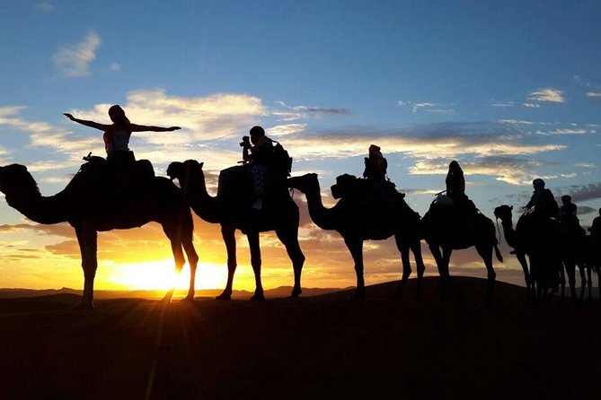Where to Go in the Moroccan Desert: Your Complete Guide to Sahara Destinations
