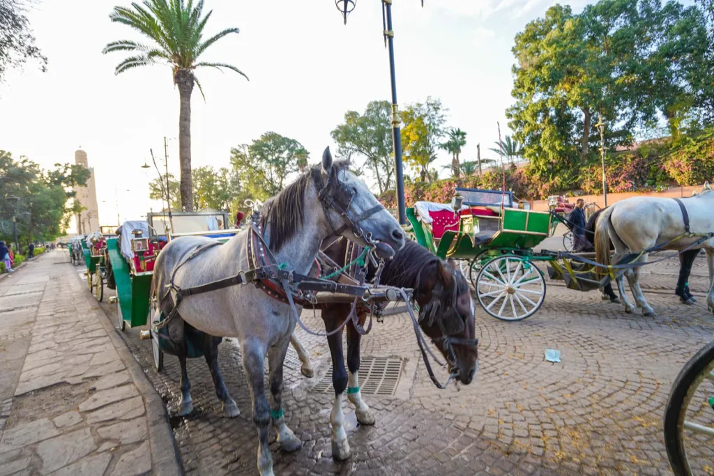 2 Weeks in Morocco: Perfect Itinerary for First-Time Visitors (2025)
