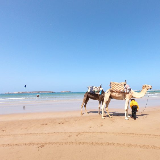 2 Weeks in Morocco: Perfect Itinerary