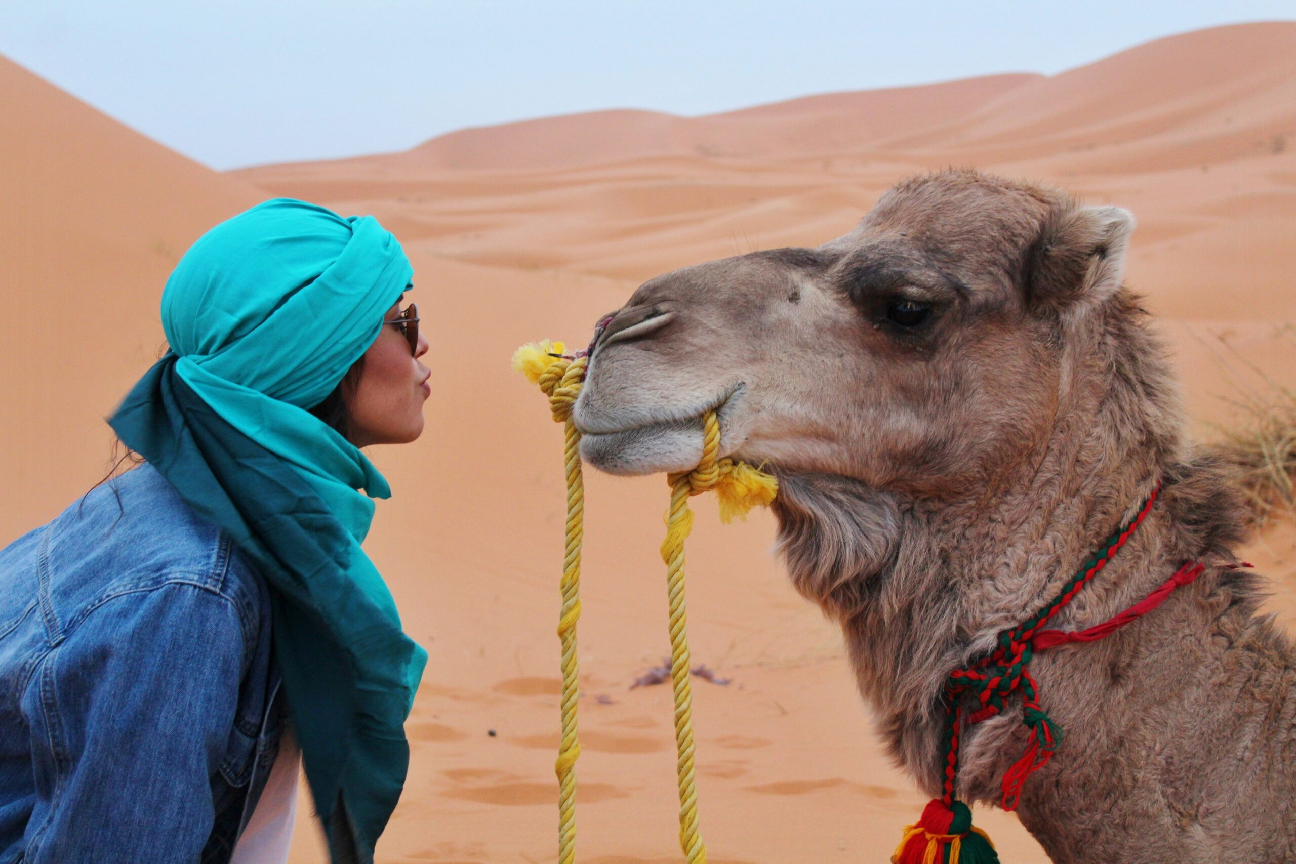 Best Morocco Tours