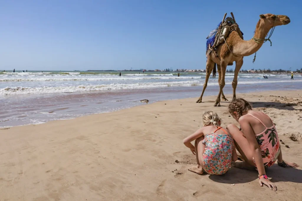 The Ultimate Guide to Morocco: Complete Travel Guide 2025