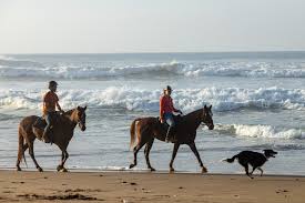 2 Weeks in Morocco: Perfect Itinerary for First-Time Visitors (2025)