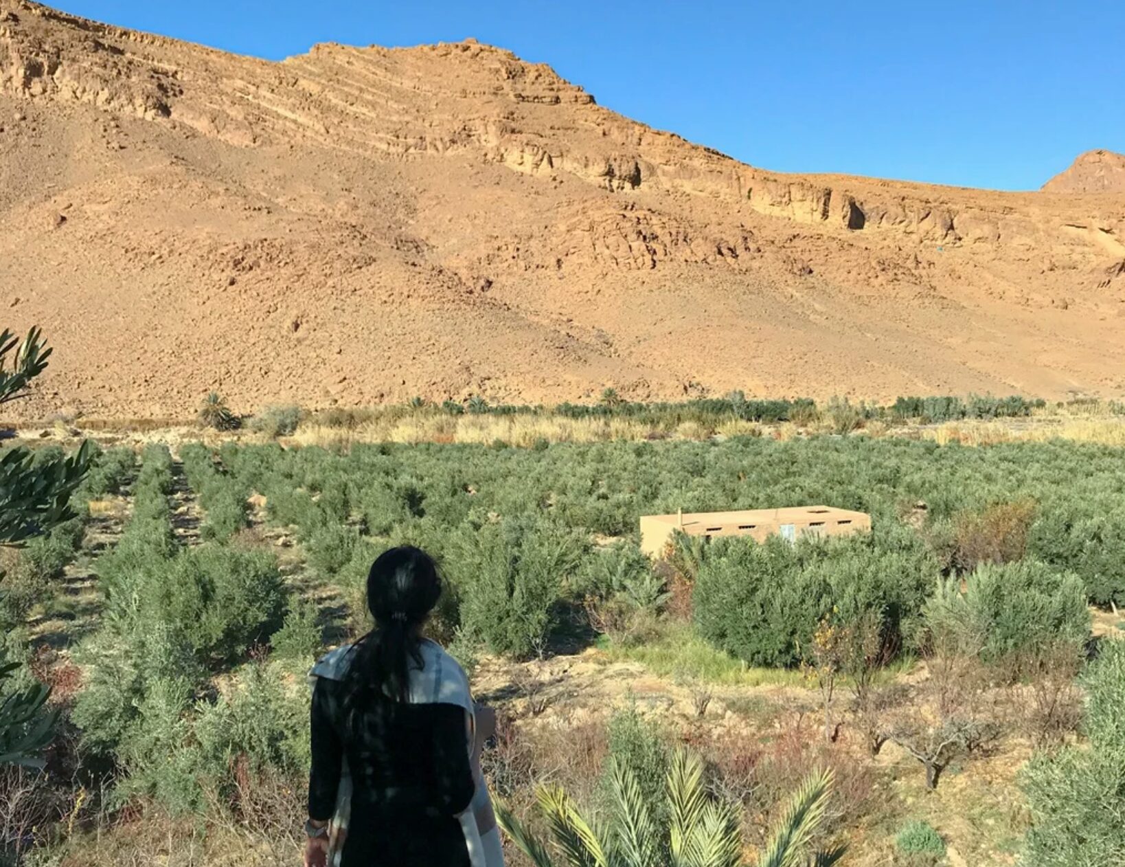Ziz Valley in Morocco