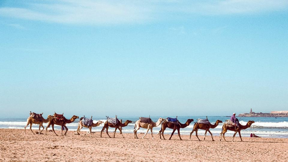 Morocco travel itinerary 7 days
