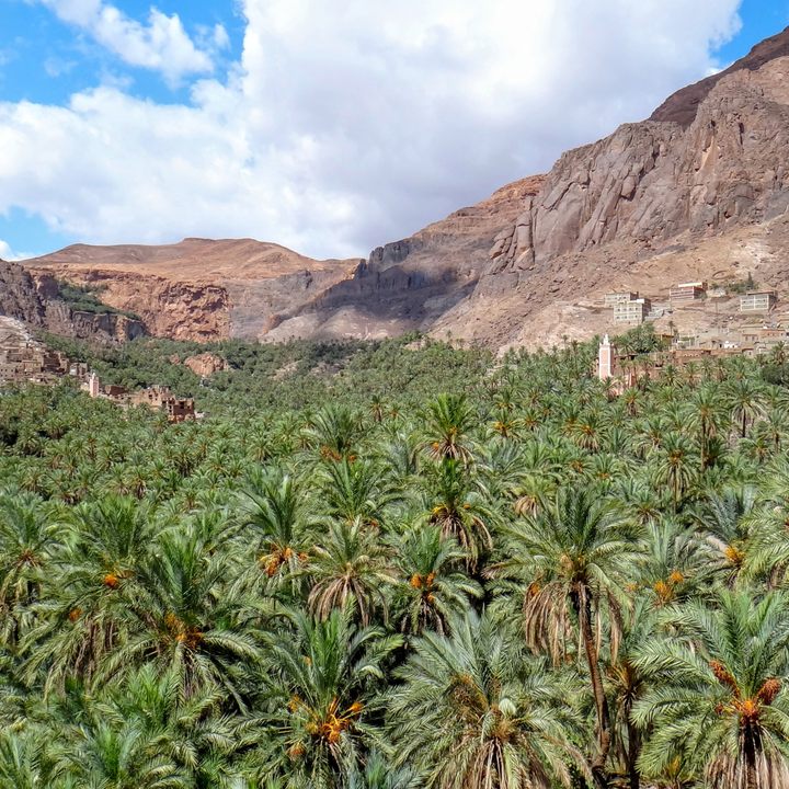 Morocco Travel Guide