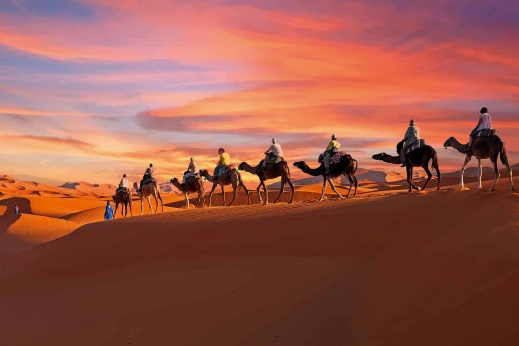 Morocco camel tours