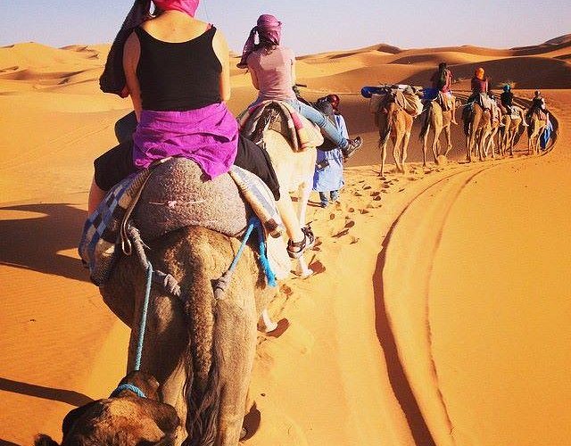 Morocco camel tours
