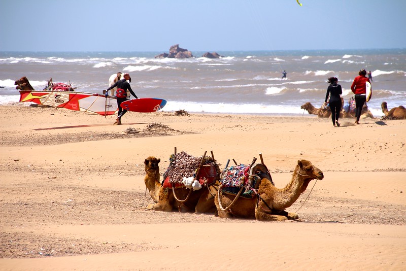 Intrepid Tours Morocco