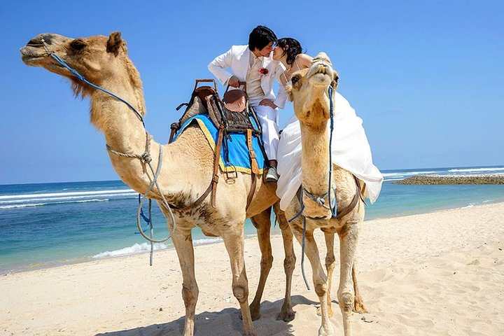 Morocco camel tours