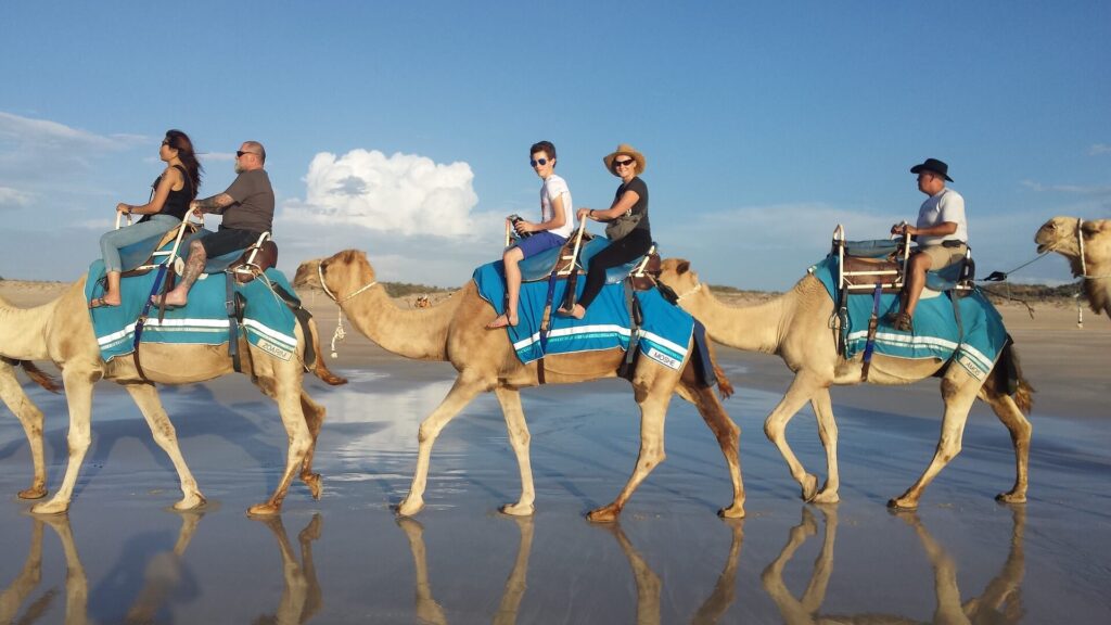 Morocco camel tours
