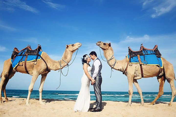 Morocco camel tours