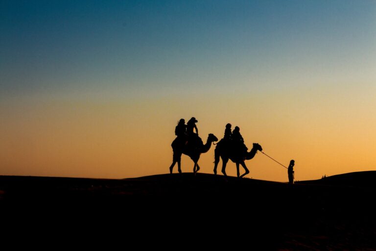 Night in the Sahara Desert:
