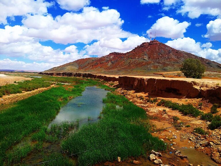 Erfoud: The Moroccan City of Dates and Desert Wonders