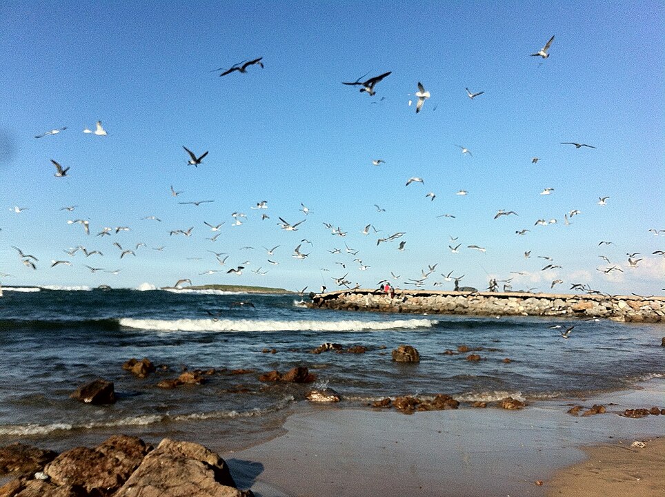 Morocco Skhirat: A Coastal Escape of Serenity and Charm