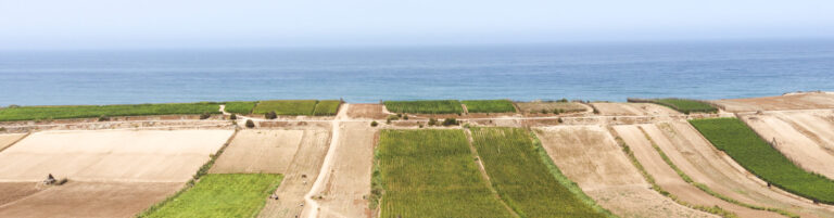 oualidia morocco