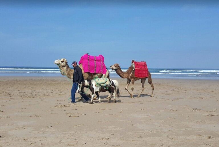 Mohammedia Morocco Accommodation Guide