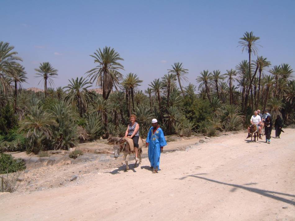 Discover Taroudant: A Hidden Gem in Southern Morocco