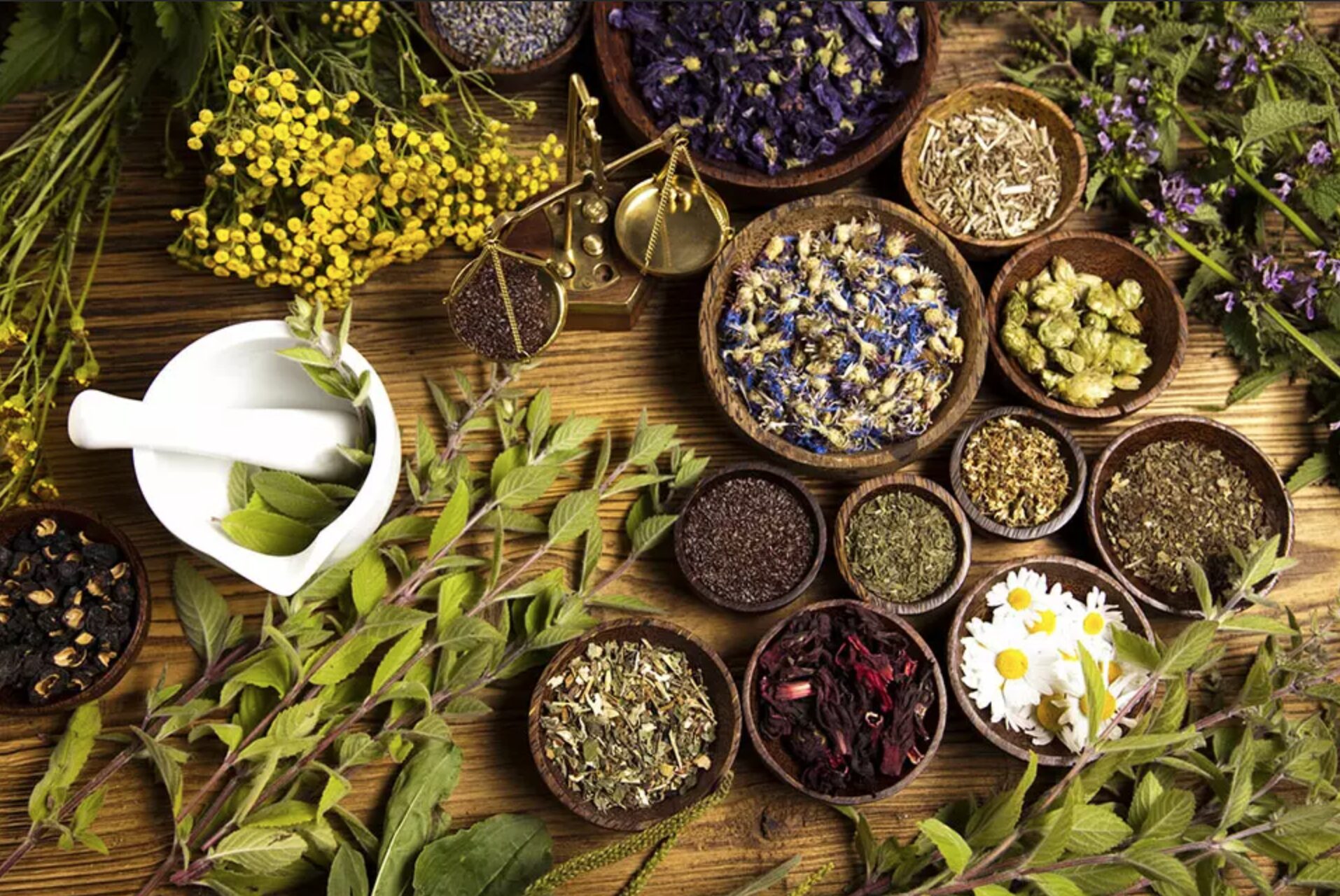 Moroccan Herbal Medicine and Traditional Healing Practices – A Journey Through Nature and Ancestral Wisdom