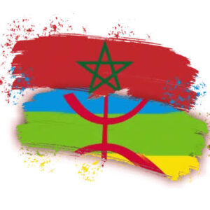 The Amazigh Symbols🌀: Language of the Ancestors